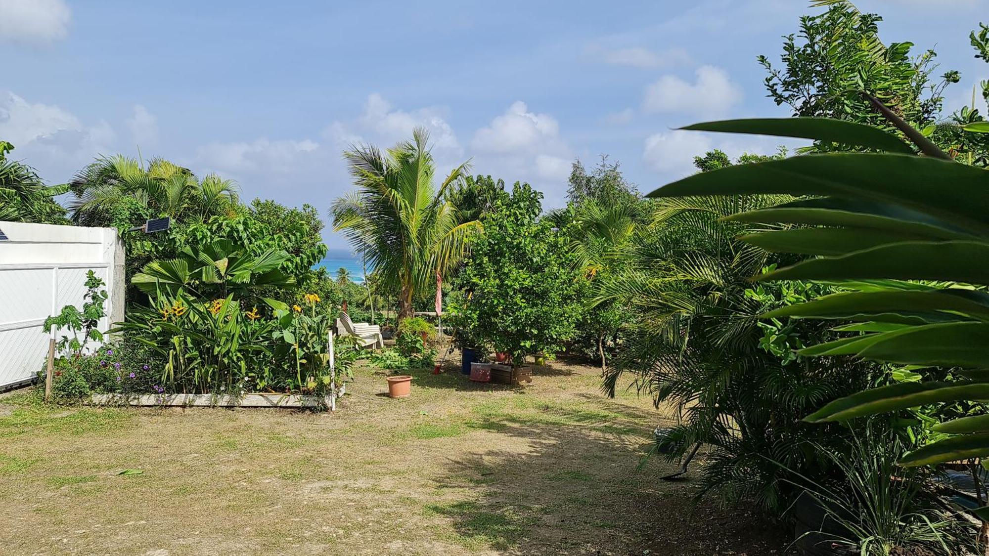 Hotel Le Domharry Anse-Bertrand Esterno foto